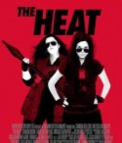 辣手警花 The Heat            (2013)