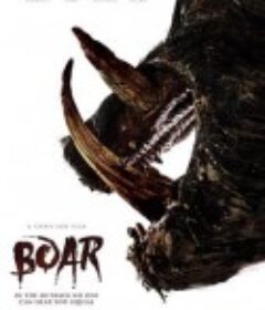 野猪 Boar            (2017)