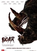 野猪 Boar            (2017)