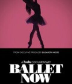 足尖时代 Ballet Now            (2018)