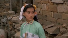 双镯 雙鐲            (1991)