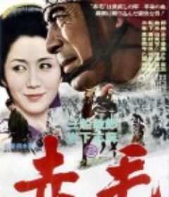 赤毛            (1969)