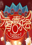 2021湖南卫视元宵喜乐会            (2021)