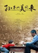 孙子从美国来            (2012)