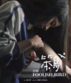 笨鸟            (2017)