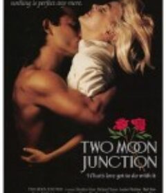 偷月情 Two Moon Junction            (1988)