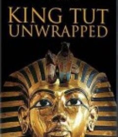 寻找埃及王 The Great Egyptians            (1998)