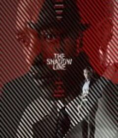 若影若线 The Shadow Line            (2011)