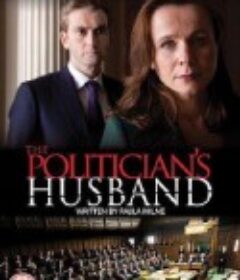 政客之夫 The Politician's Husband            (2013)