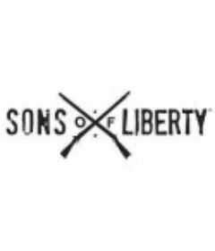 自由之子 Sons of Liberty            (2015)