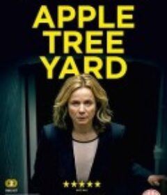 苹果园 Apple Tree Yard            (2017)