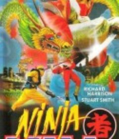 Ninja Kill            (1987)