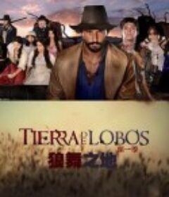 狼舞之地 第一季 Tierra de lobos Season 1            (2010)