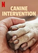 犬类干预 Canine Intervention            (2021)