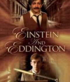 爱因斯坦与爱丁顿 Einstein and Eddington            (2008)