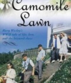 甘菊草地 The Camomile Lawn            (1992)