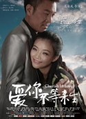 爱你不等来生            (2014)