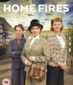 战火家园  Home Fires         (2015)