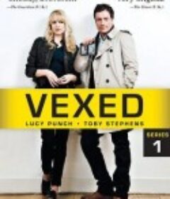 冤家搭档  Vexed  (2010)