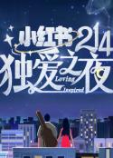 小红书214独爱之夜 （2021）