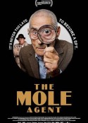 名侦探赛大爷 The Mole Agent            (2020)