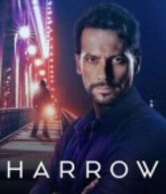 神秘法医 第二季 Harrow Season 2            (2019)