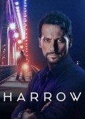 神秘法医 第二季 Harrow Season 2            (2019)