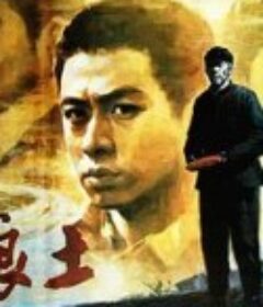 老娘土            (1992)
