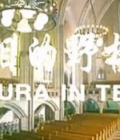 流泪的野樱花            (1999)