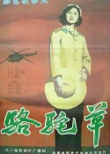 骆驼草            (1983)