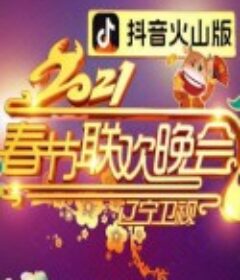 2021年辽宁卫视春节联欢晚会            (2021)