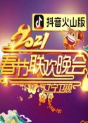 2021年辽宁卫视春节联欢晚会            (2021)