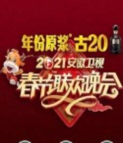 2021年安徽卫视春节联欢晚会            (2021)
