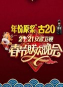 2021年安徽卫视春节联欢晚会            (2021)