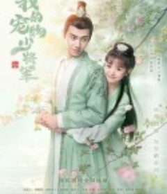 我的宠物少将军            (2021)