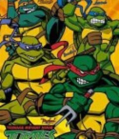 忍者神龟 第二季 Teenage Mutant Ninja Turtles Season 2            (2003)