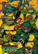 忍者神龟 第二季 Teenage Mutant Ninja Turtles Season 2            (2003)