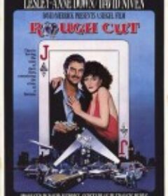 超级老千 Rough Cut            (1980)