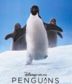 企鹅 Penguins            (2019)