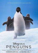 企鹅 Penguins            (2019)