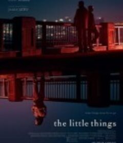 蛛丝马迹 The Little Things            (2021)