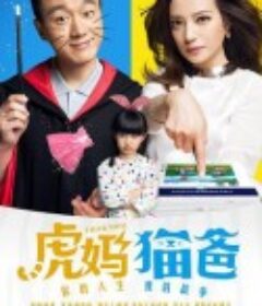 虎妈猫爸            (2015)