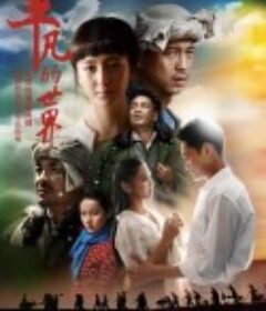 平凡的世界            (2015)