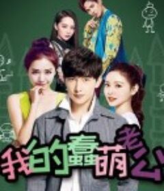 我的蠢萌老公            (2016)