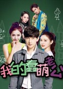 我的蠢萌老公            (2016)