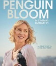 企鹅布鲁姆 Penguin Bloom            (2020)