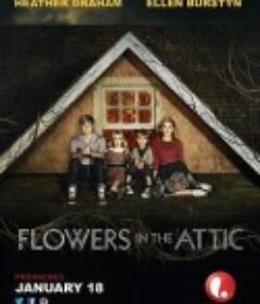 阁楼里的花 Flowers in the Attic            (2014)