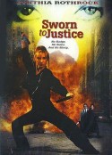绝对复仇 Sworn to Justice            (1996)