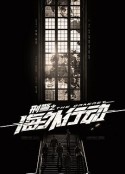 刑警之海外行动            (2021)