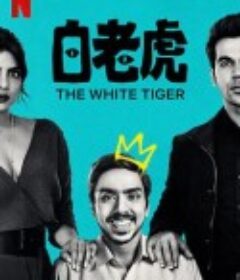白虎 The White Tiger            (2021)